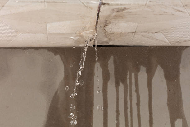 Professional Burst Pipe Cleanup technician working in Camp Nelson, CA
